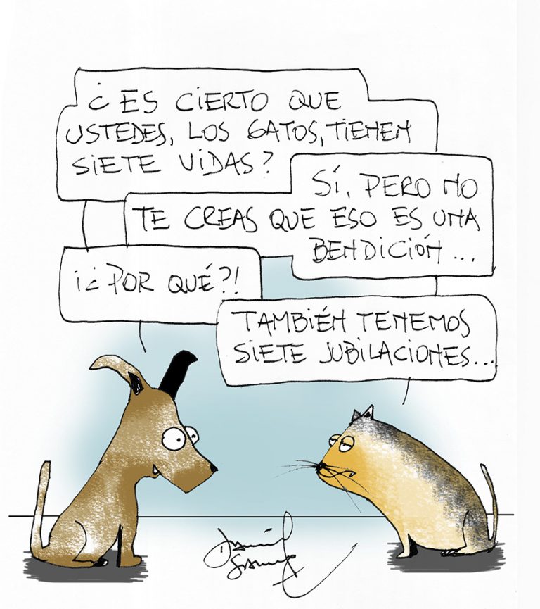 Humor mascotas