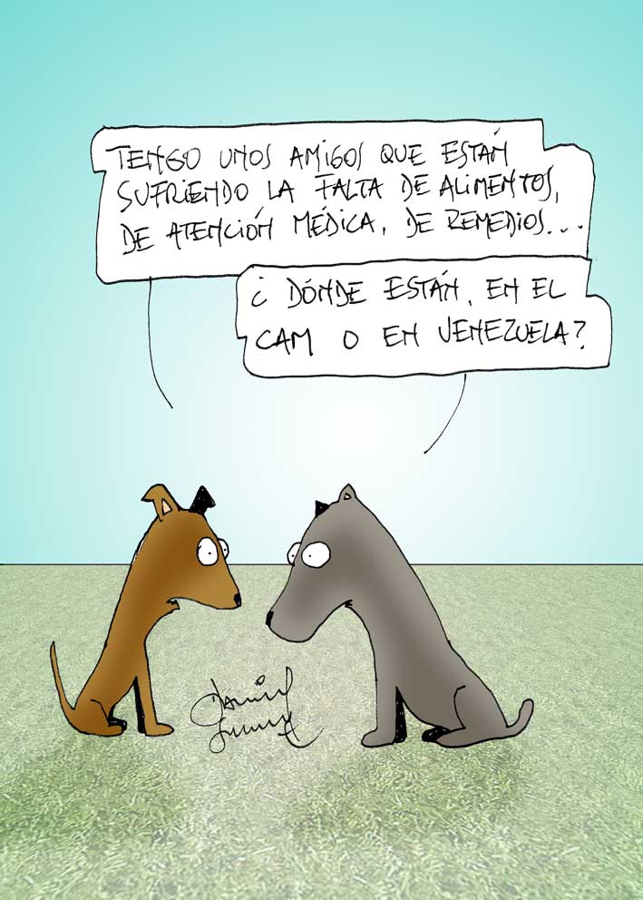 Humor entre perros y gatos