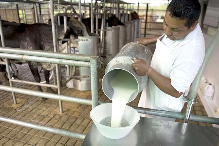 Segundo año de la escuela de operarios para producción lechera