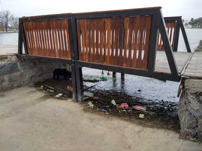 “Según como sople el viento” las márgenes del lago lucen muy sucias