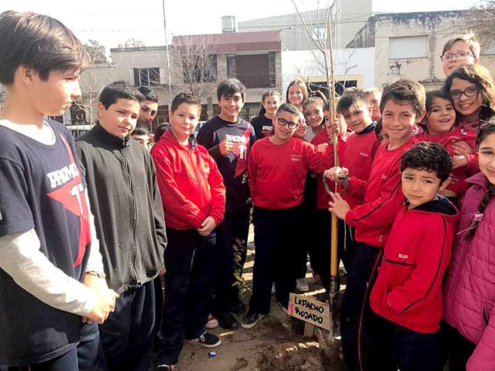 Reforestaron con árboles autóctonos