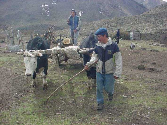 Los intereses detrás de la represión a los mapuches