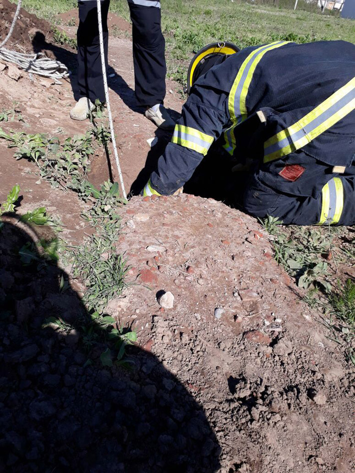 Bomberos al rescate