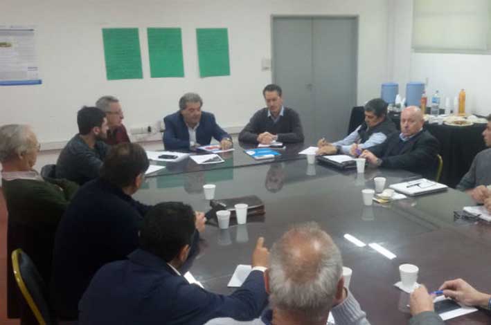 Preocupan consecuencias sanitarias tras habilitar importación de cerdos Preocupan consecuencias sanitarias tras habilitar importación de cerdos