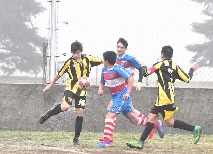 Inferiores: masiva actividad