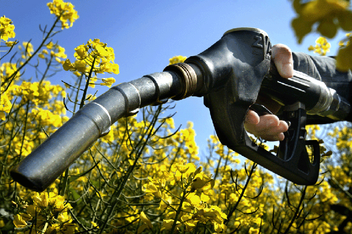 Franceses y alemanes no quieren que ingrese el biocombustible argentino a la Unión Europea