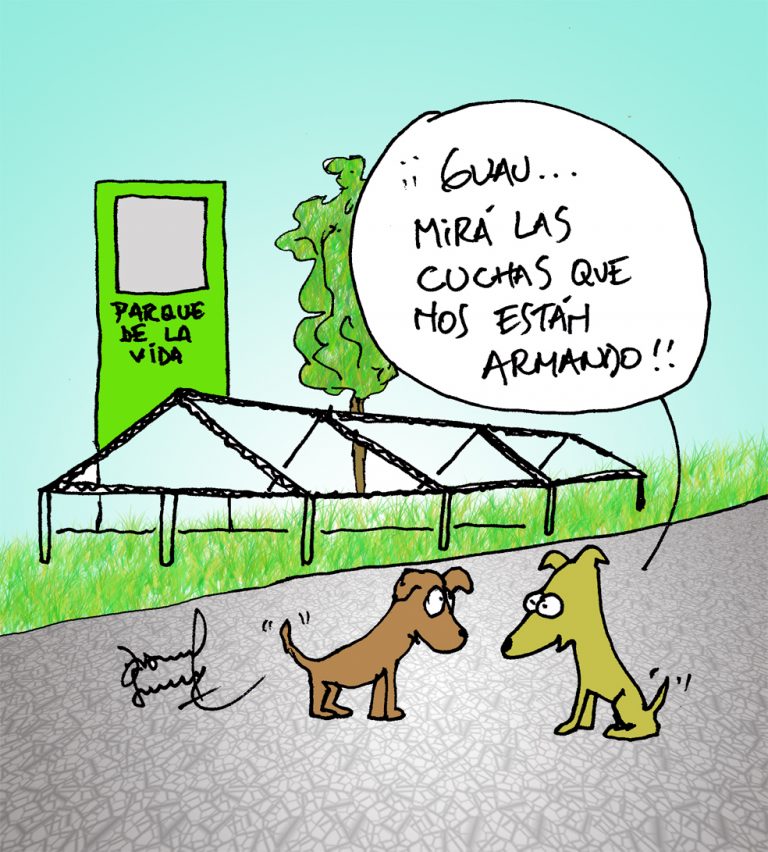 Humor entre perros y gatos