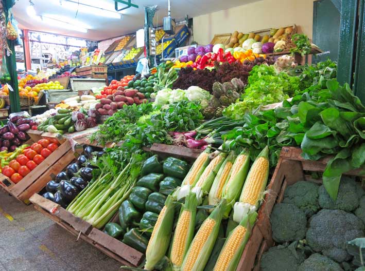 ¿Bajo en carbohidratos o bajo en grasas? realmente no importa