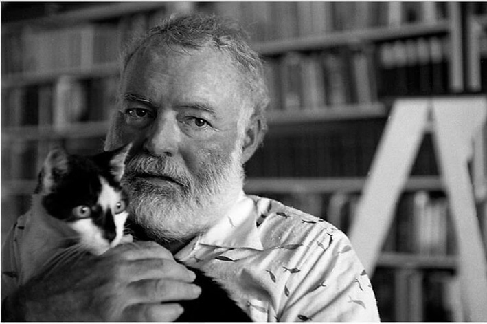 Los gatos de Hemingway