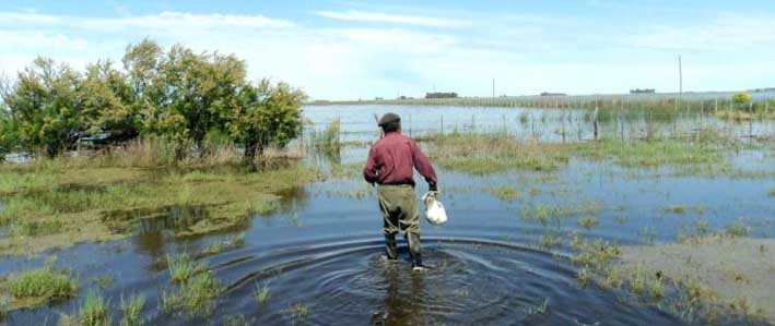 Reclaman el salvataje  a pequeños productores