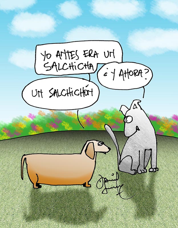 Humor perruno