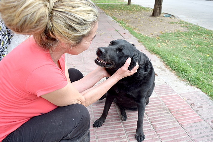 Cabezón volvió a casa