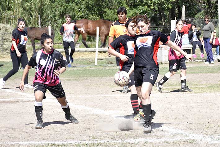 Las Gacelas, al acecho