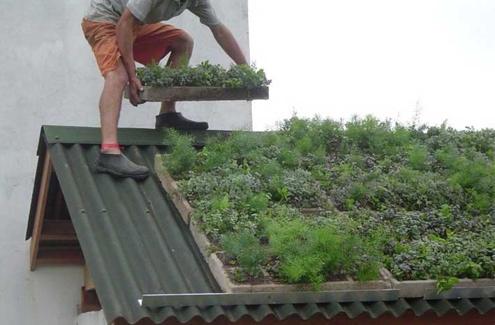 Charlas para pensar en el ambiente