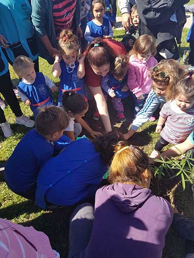 Un árbol como motivo de unión