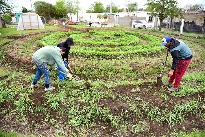 La huerta de La Calera es una salida para algunos jóvenes