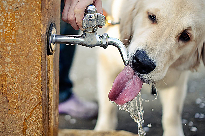 A cuidarse del calor