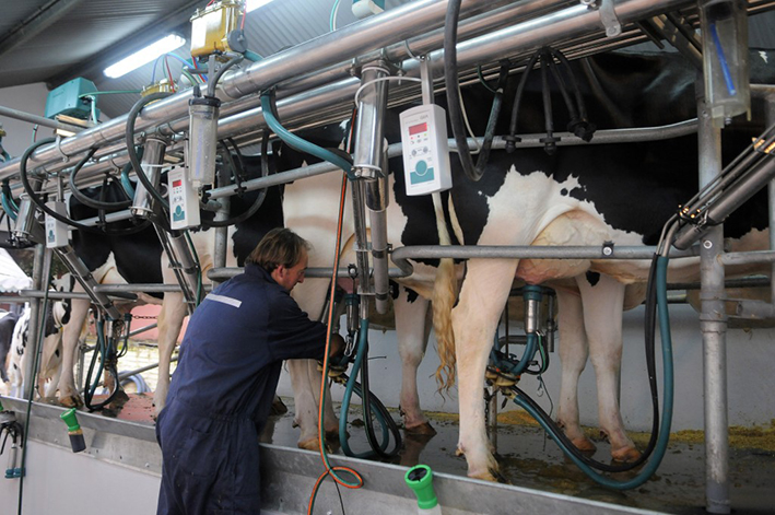 Pedido de infraestructura urgente para la lechería