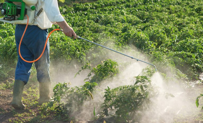 Agroquímicos: una mirada científica