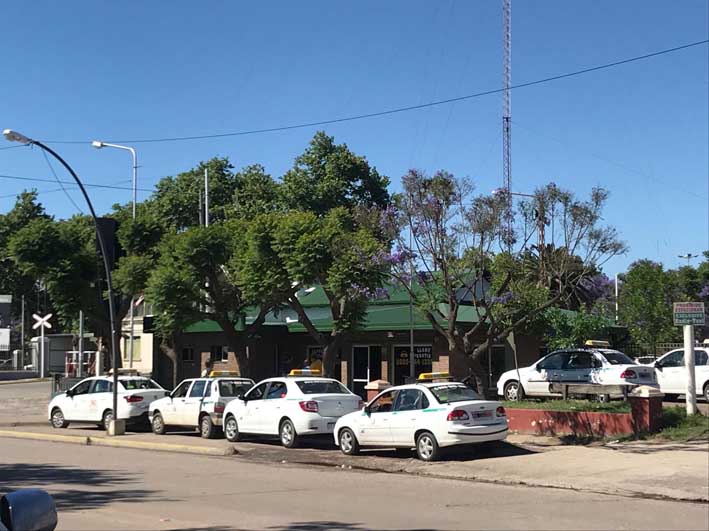 Que no se pierda el paisaje del jacarandá