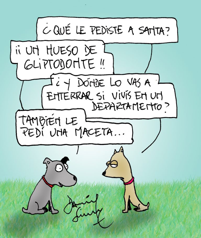 Humor perruno