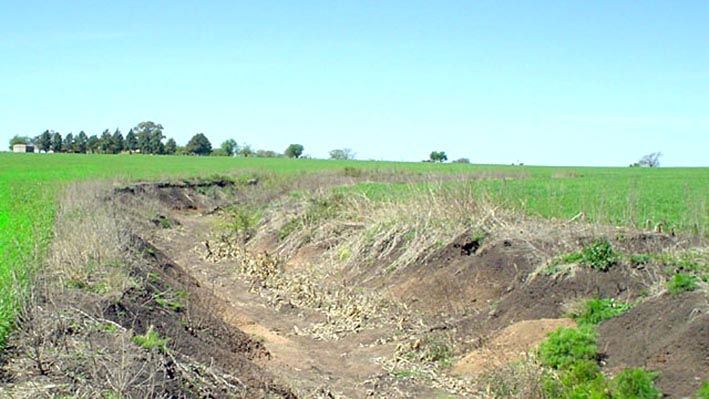 Se pierden 30 millones de dólares por erosión hídrica