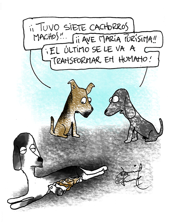 Humor entre perros y gatos