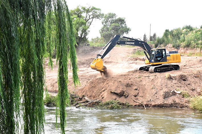 Puente: tendrán que poner 70 árboles