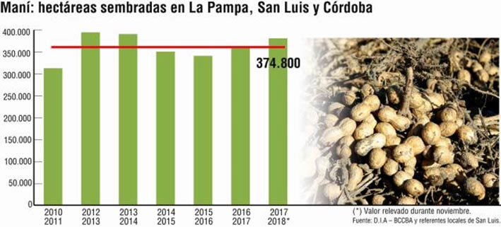 El área con maní estará un 3,6% por arriba de la campaña 2016/17