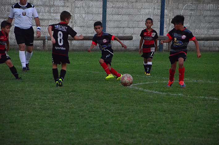 “Roque”, el más ganador “Roque”, el más ganador