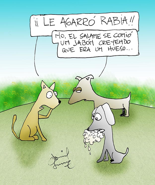 Humor perruno