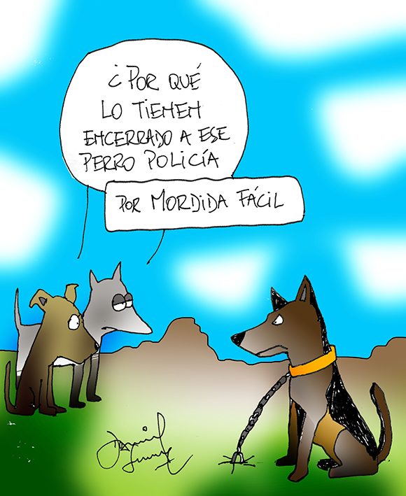 Humor perruno