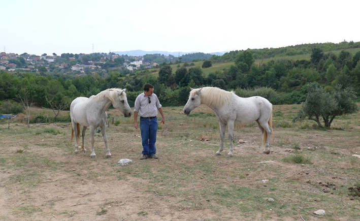 Charla sobre  equinoterapia