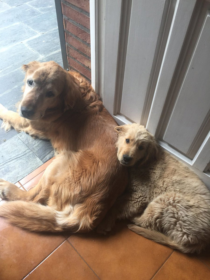 Inseparables Inseparables