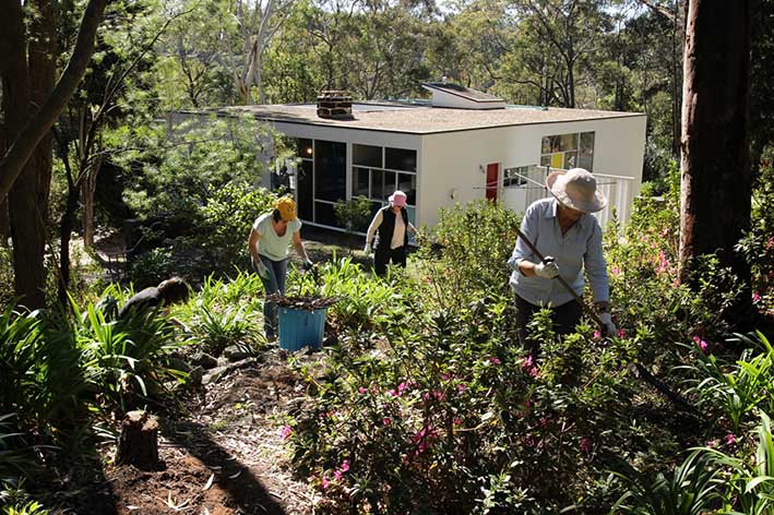 “Proyecta tu propio jardín”: nuevo taller del Instituto de Extensión