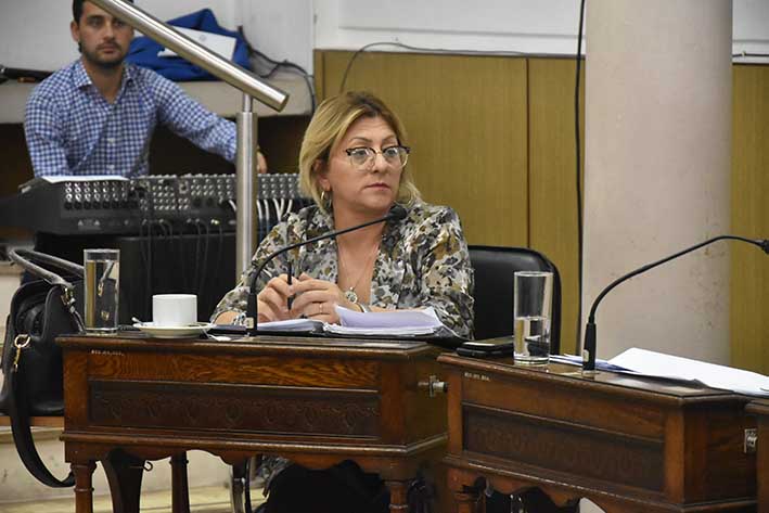 Concejales opinaron sobre el proyecto