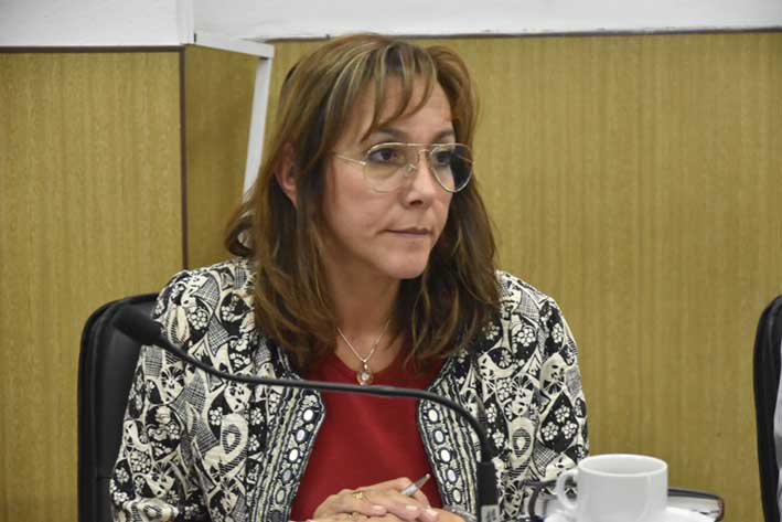 La oposición pide que Martín Gill dé explicaciones por La Marchesina