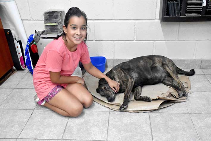 Luana quiere festejar su cumple ayudando a las mascotas sin hogar