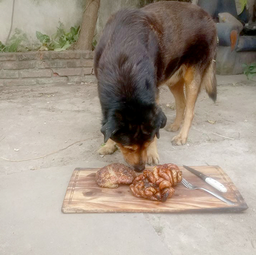 Un asado para Rocko