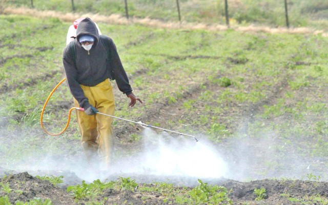 Capacitaron sobre el uso de agroquímicos