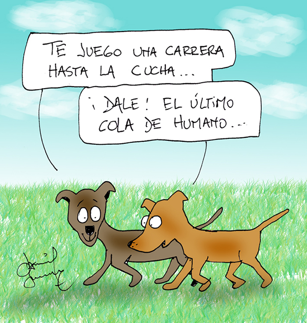 Humor perruno