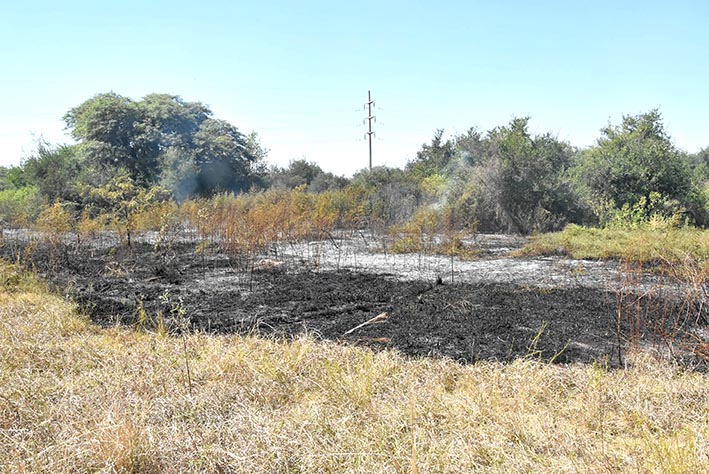 Aseguran que “no se habilitará” ningún loteo en el Montecito