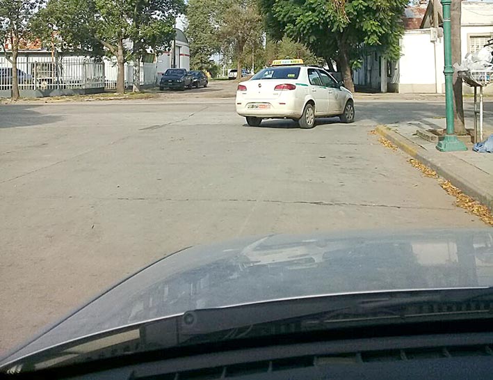 Un semáforo escondido “dentro de un árbol” es un verdadero peligro