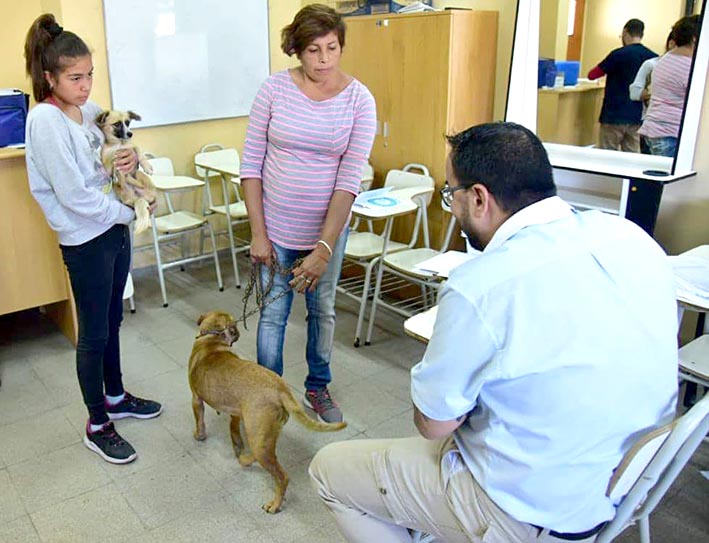 Comenzó campaña de vacunación antirrábica