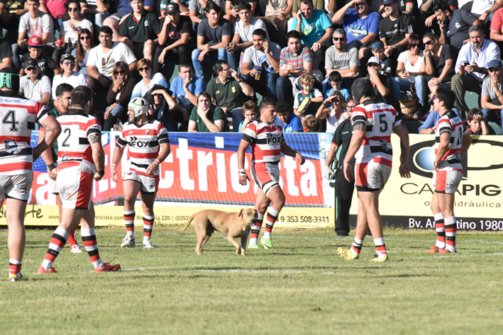 El famoso «colado» en el clásico de rugby