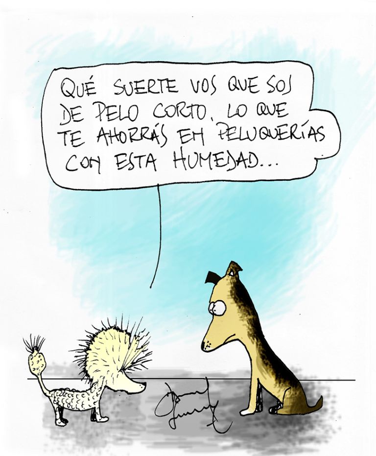 Humor perruno