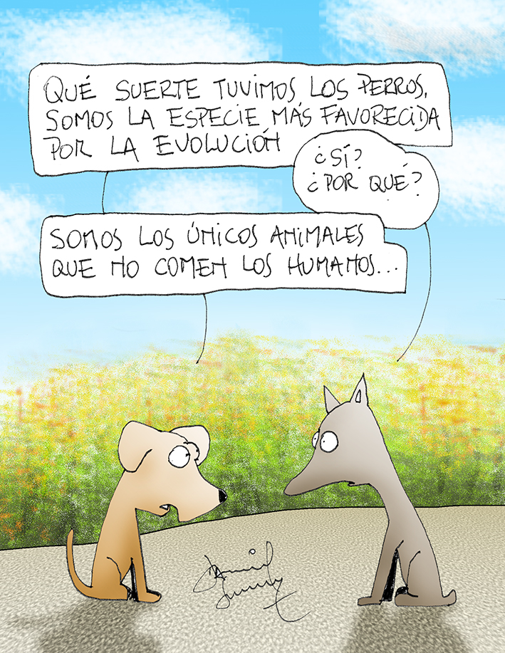 Humor mascotas, por Daniel Sánchez