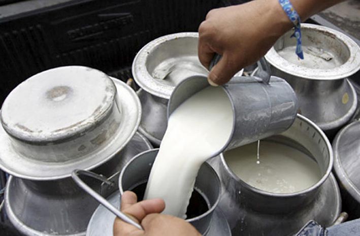 El sector lácteo se concentra hoy en Villa María