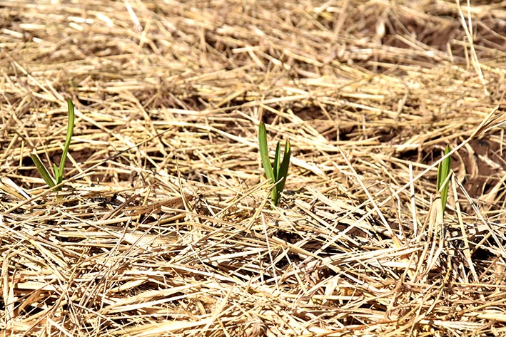 Jornada taller sobre la agroecología en Córdoba