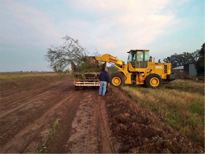 Avanza la obra de circunvalación del sector sur